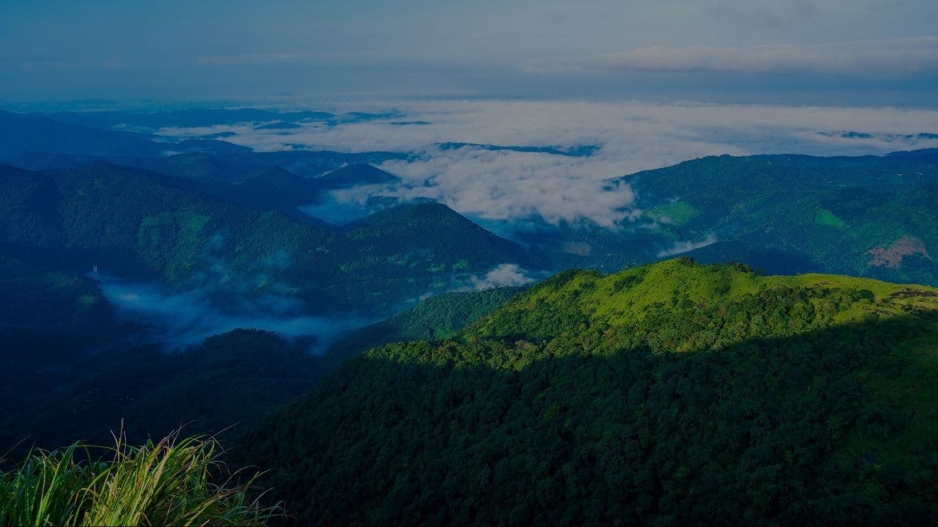 Nafisa collaboration